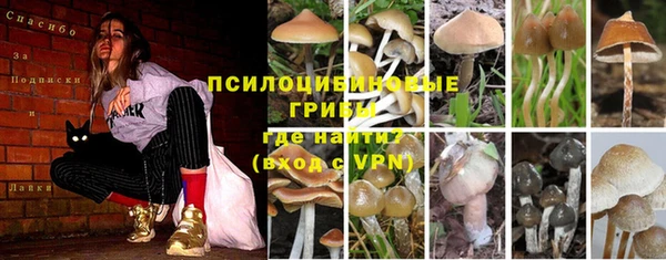 ECSTASY Надым