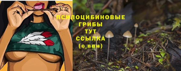 ALPHA PVP Богородицк