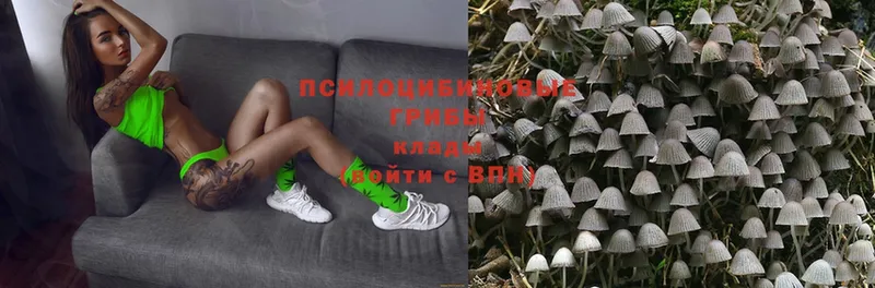 Псилоцибиновые грибы Magic Shrooms  Копейск 