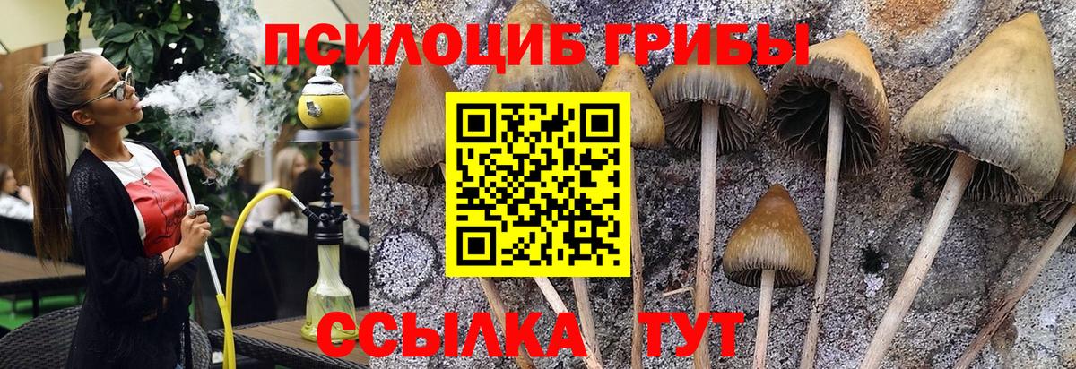 Копейск  Псилоцибиновые грибы прущие грибы  Галлюциногенные грибы GOLDEN TEACHER  Вход с VPN 