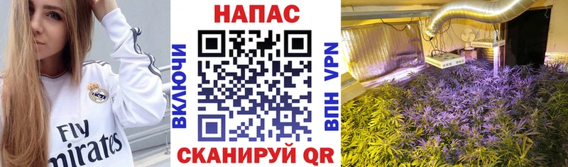 Шишки марихуана AK-47 Копейск